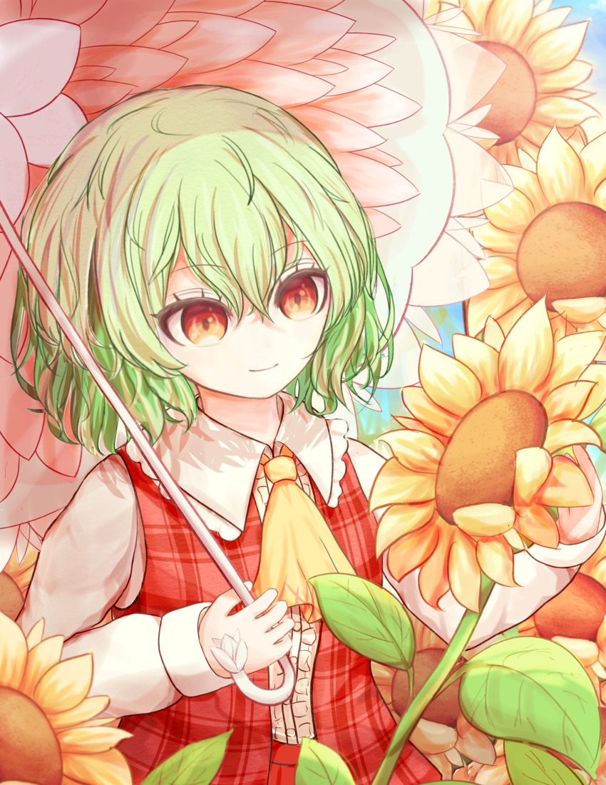 Kazami Yuuka (Touhou) Rule 34 Image