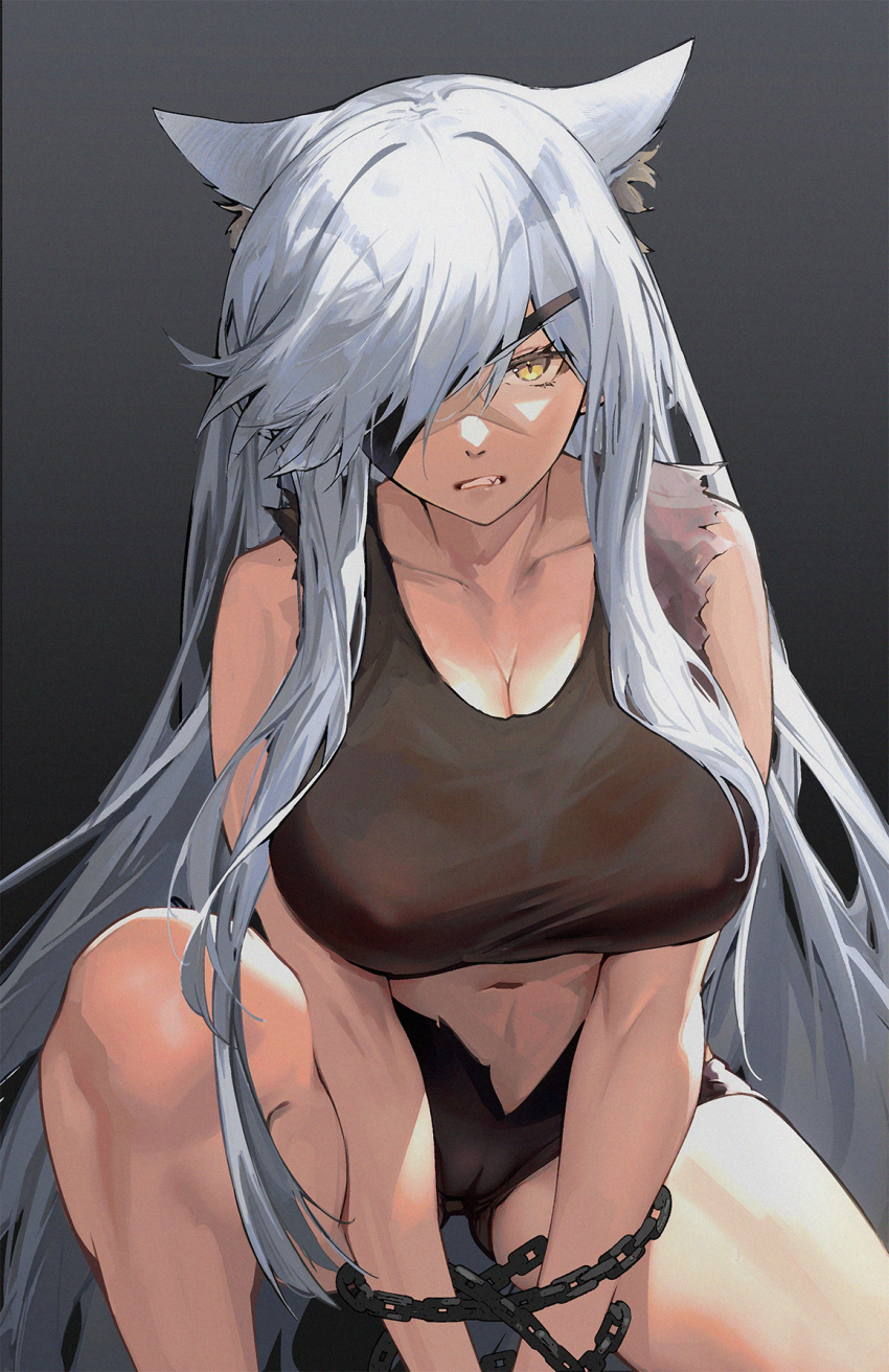 Duke Of Windermere (Arknights) Rule 34 Image