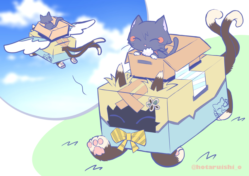 Kirara (Genshin Impact) Rule 34 Image