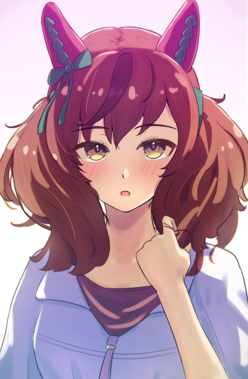 Nice Nature (Umamusume) Rule 34 Image