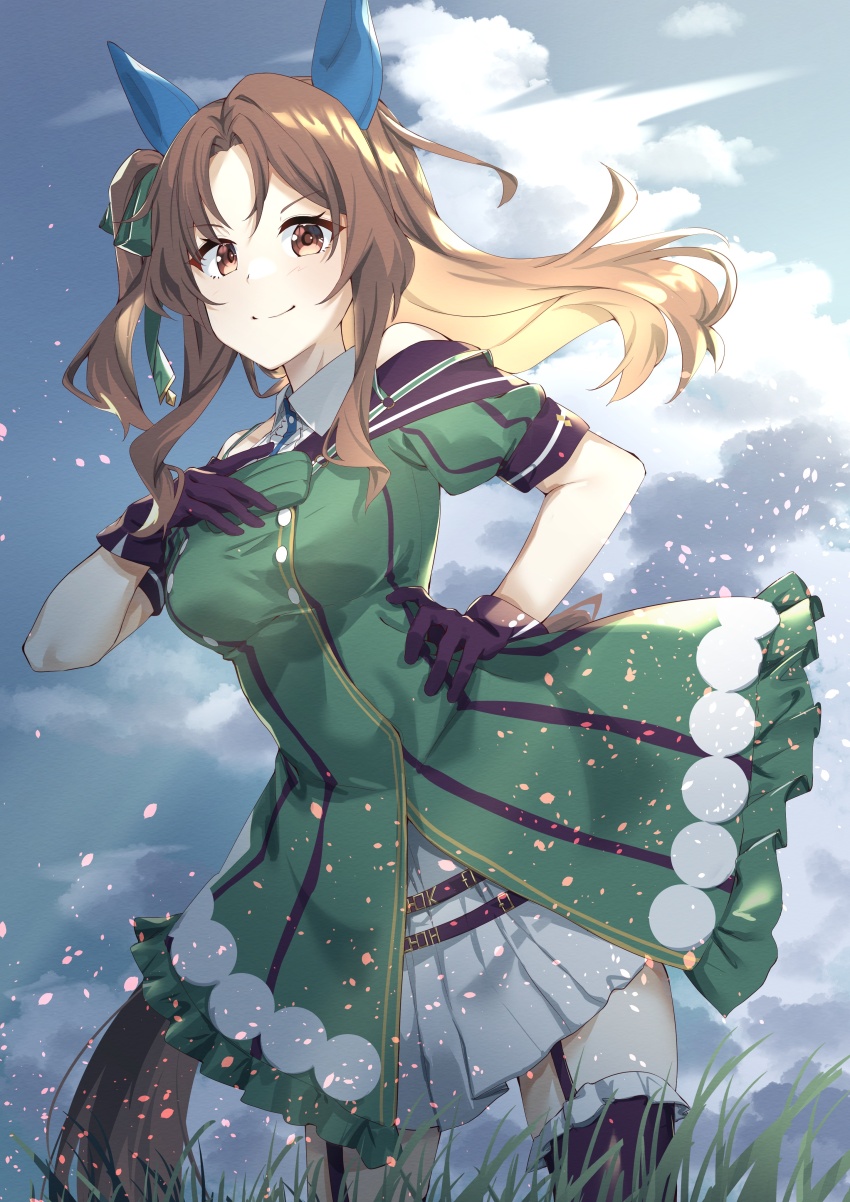 King Halo (Umamusume) Rule 34 Image