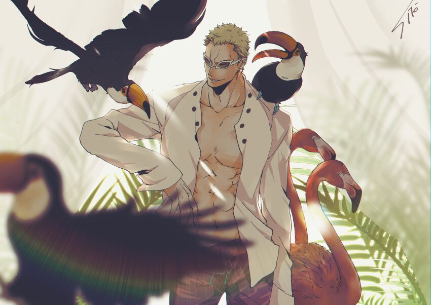 Donquixote Doflamingo (One Piece) Rule 34 Image