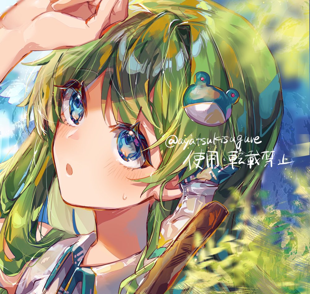 Kochiya Sanae (Touhou) Rule 34 Image