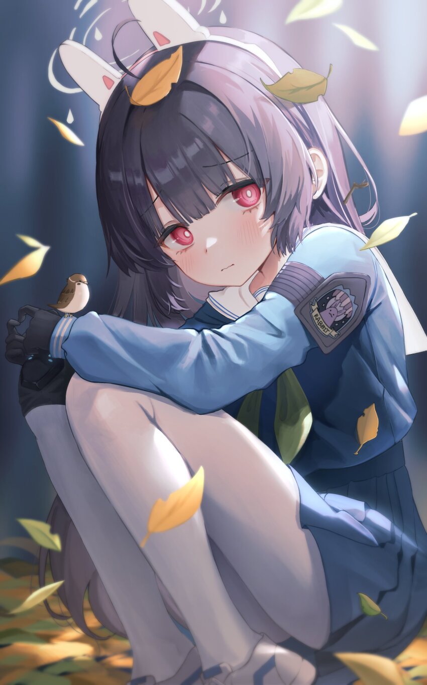 Miyu (Blue Archive) Rule 34 Image