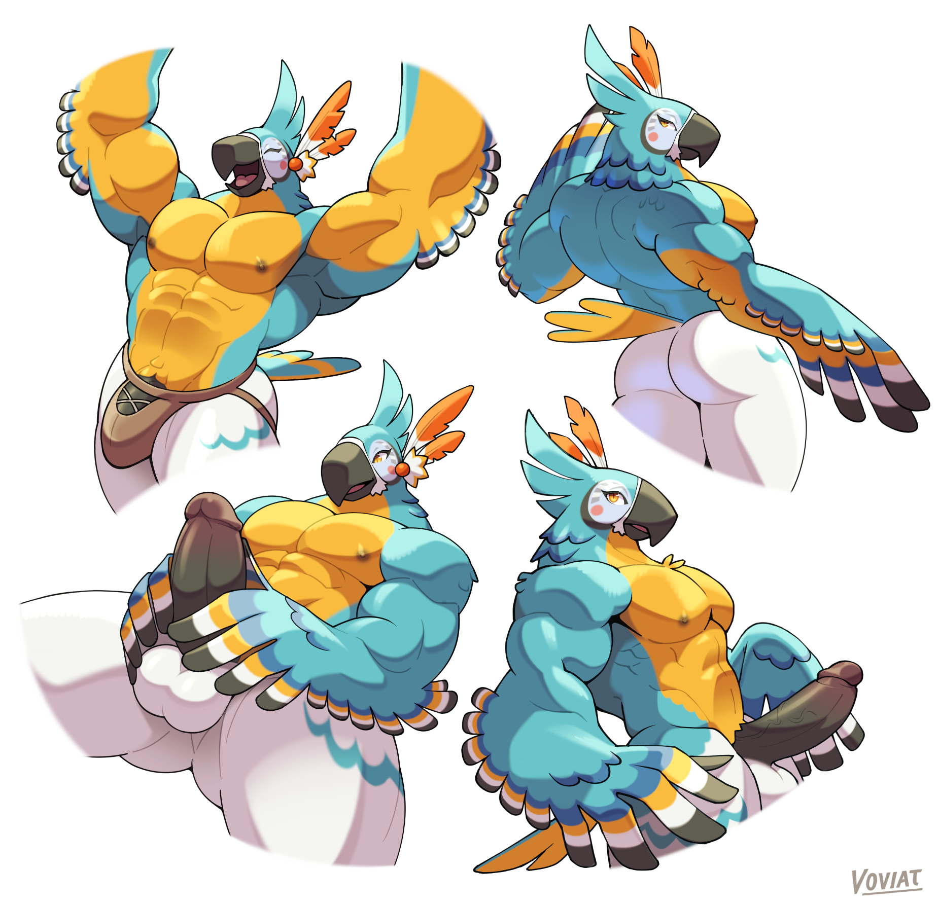 Kass (Tloz) Rule 34 Image