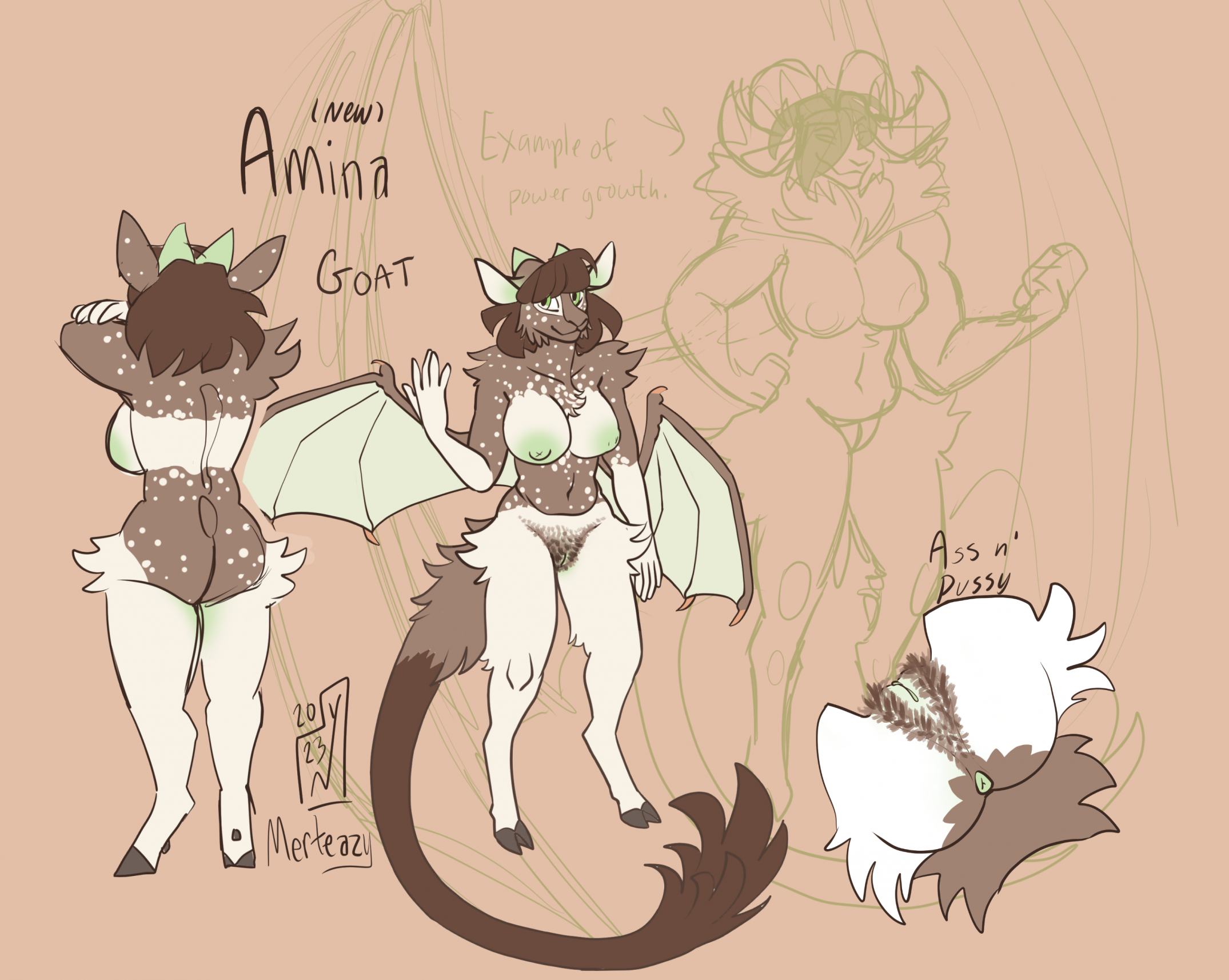 Amina Rule 34 Image