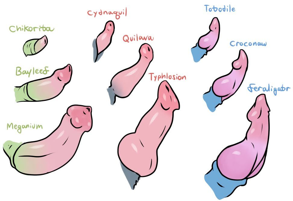 Bayleef (Pokemon) Rule 34 Image