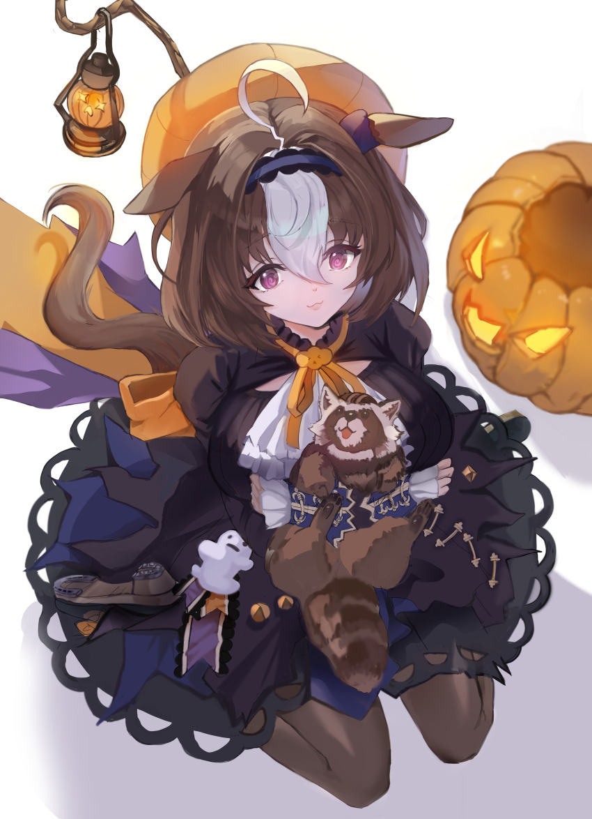 Meisho Doto (Umamusume) Rule 34 Image
