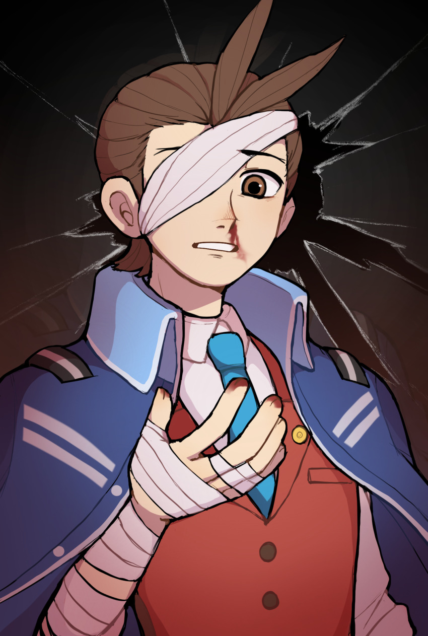 Apollo Justice (Ace Attorney) Rule 34 Image
