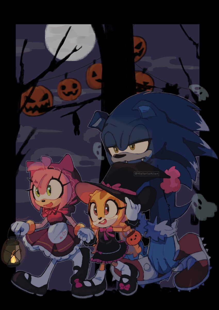 Amy Rose (Halloween) Rule 34 Image