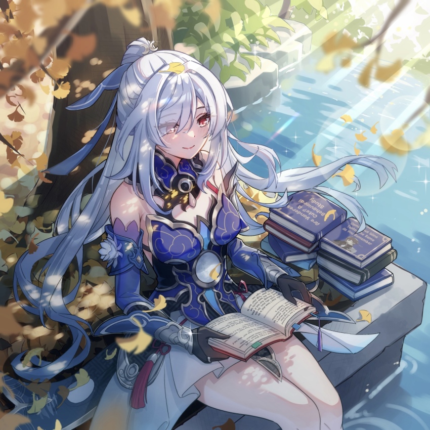 Jingliu (Honkai: Star Rail) Rule 34 Image