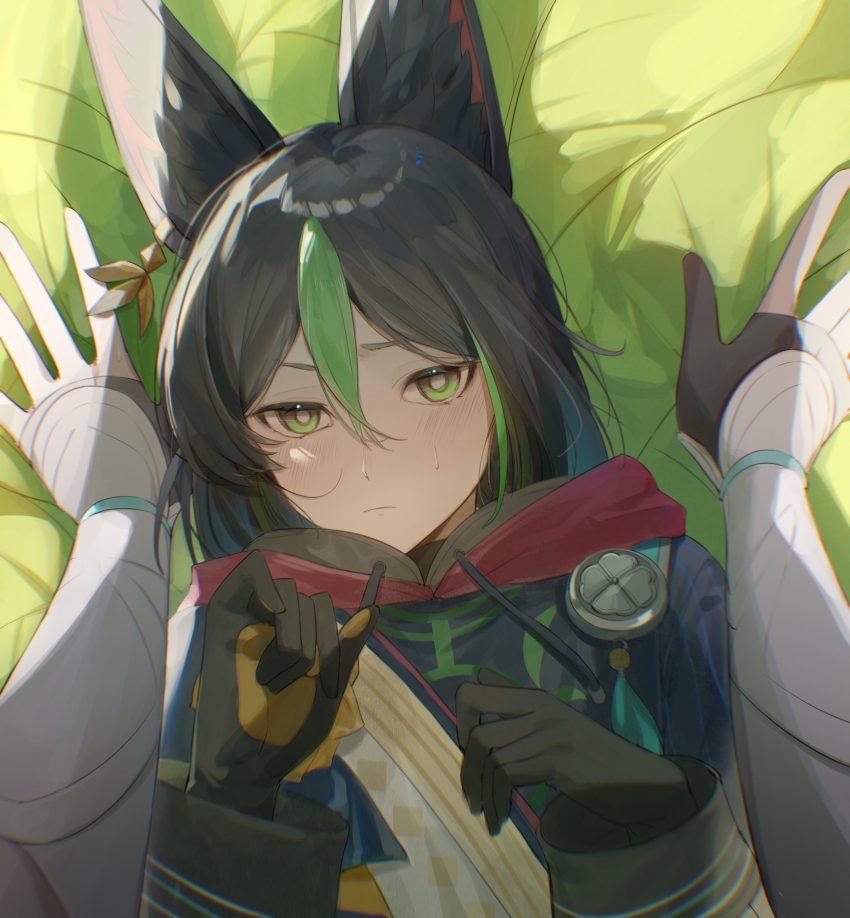 Tighnari (Genshin Impact) Rule 34 Image