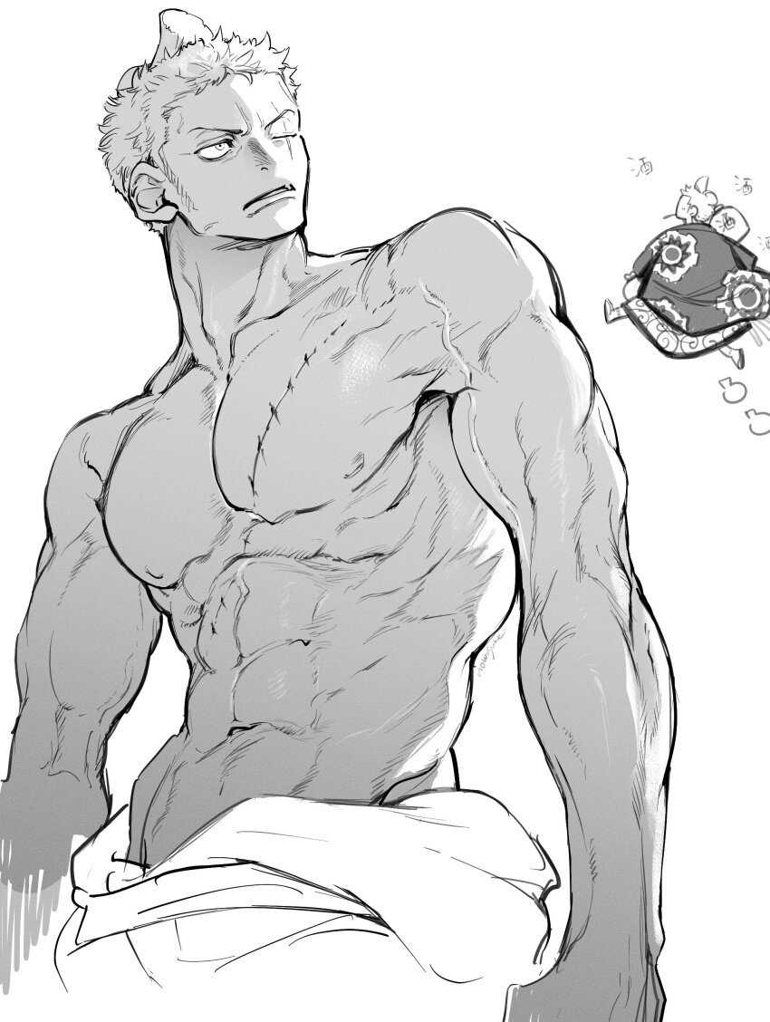 Roronoa Zoro (One Piece) Rule 34 Image