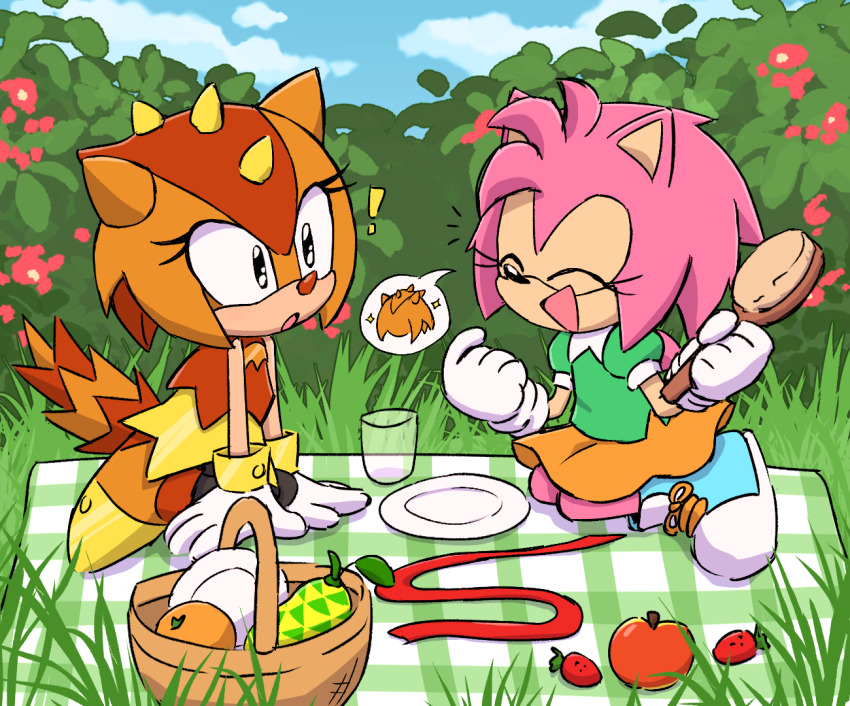 Amy Rose (Sonic (Series)) Rule 34 Image
