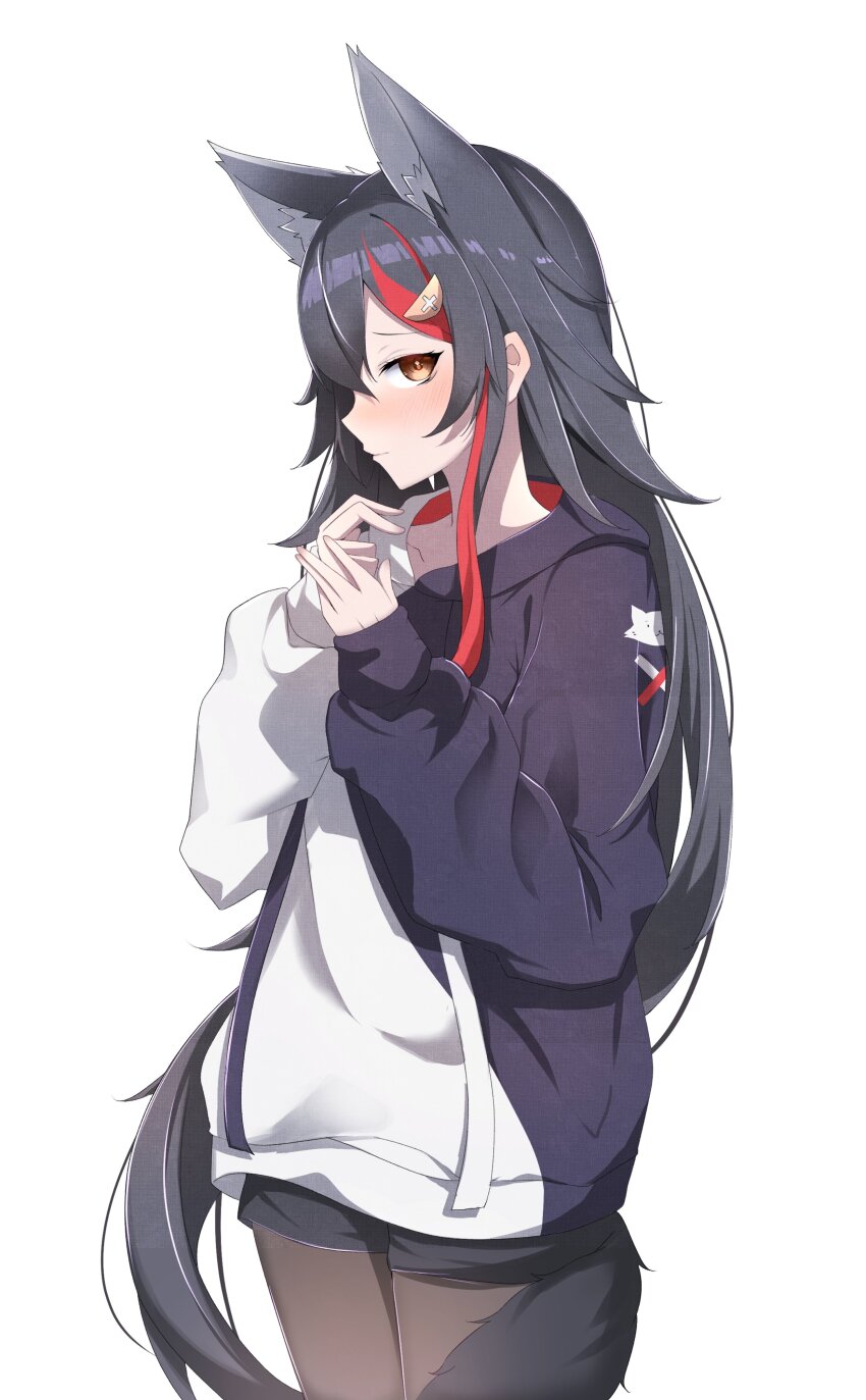 Ookami Mio (Hololive) Rule 34 Image