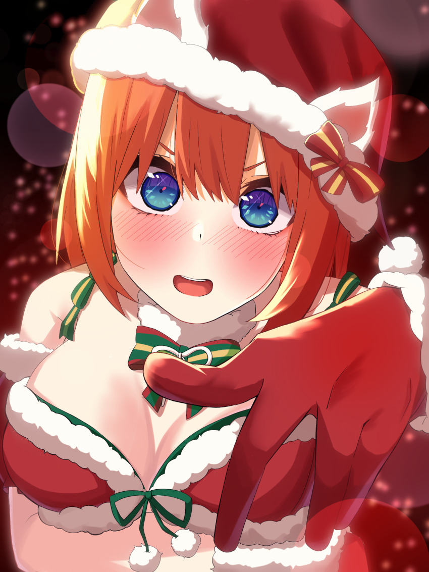 Nakano Yotsuba (Christmas) Rule 34 Image
