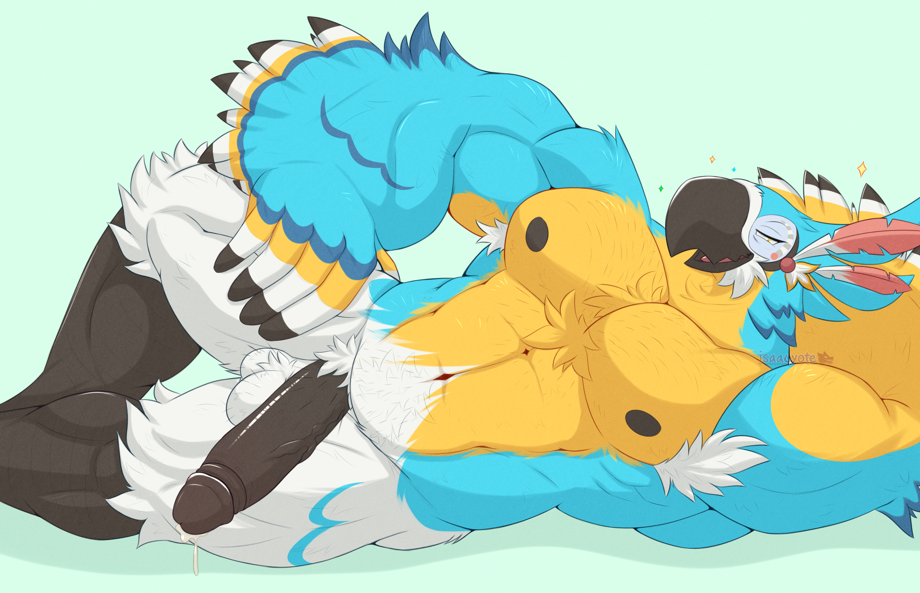 Kass (Tloz) Rule 34 Image
