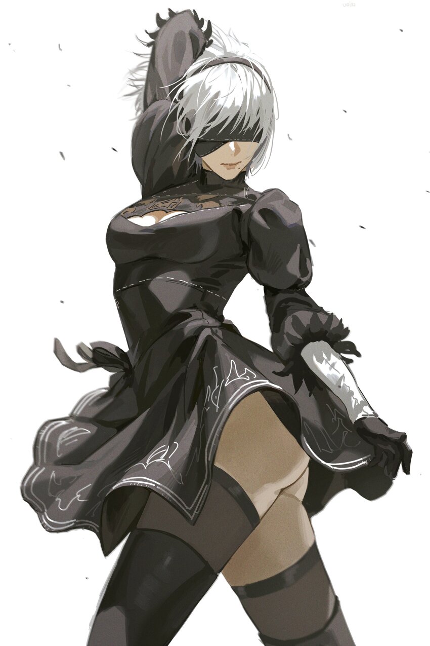 2b (Nier:Automata) Rule 34 Image