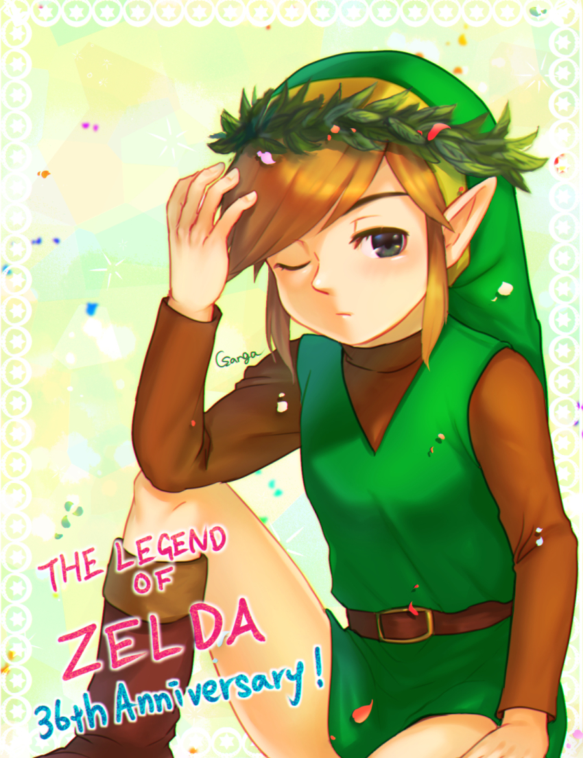 Link (Nintendo) Rule 34 Image