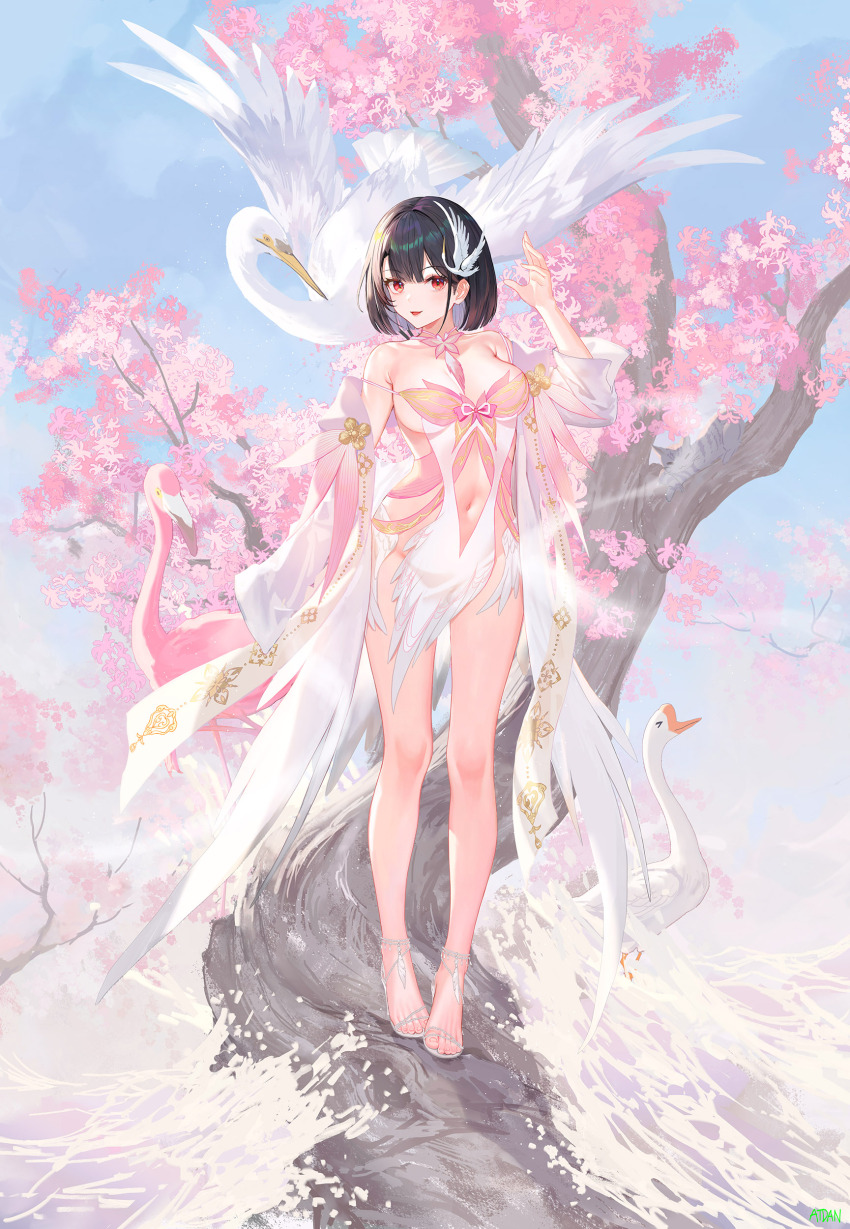 Lily (Atdan) Rule 34 Image