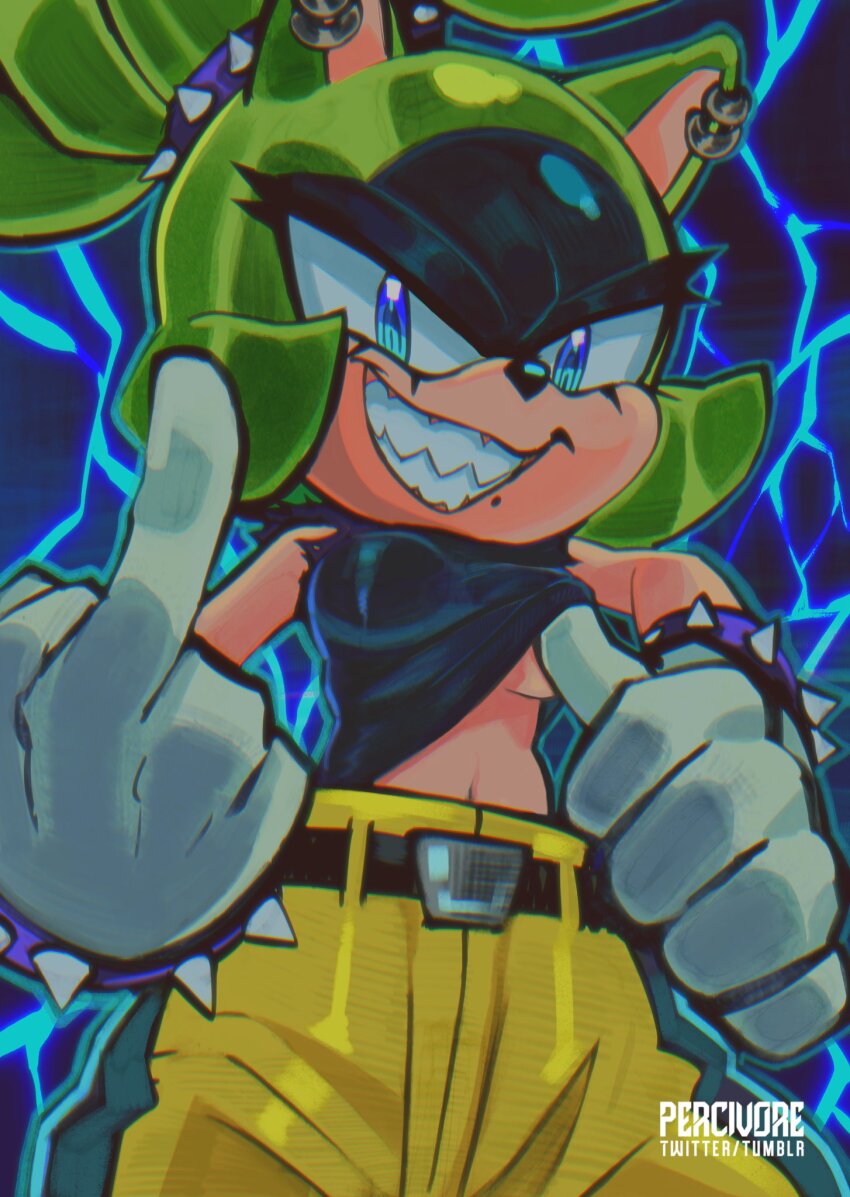 Surge The Tenrec (Sonic (Series)) Rule 34 Image