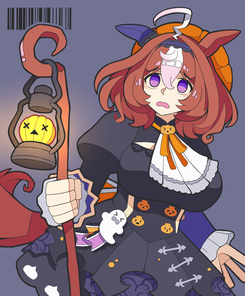 Meisho Doto (Umamusume) Rule 34 Image
