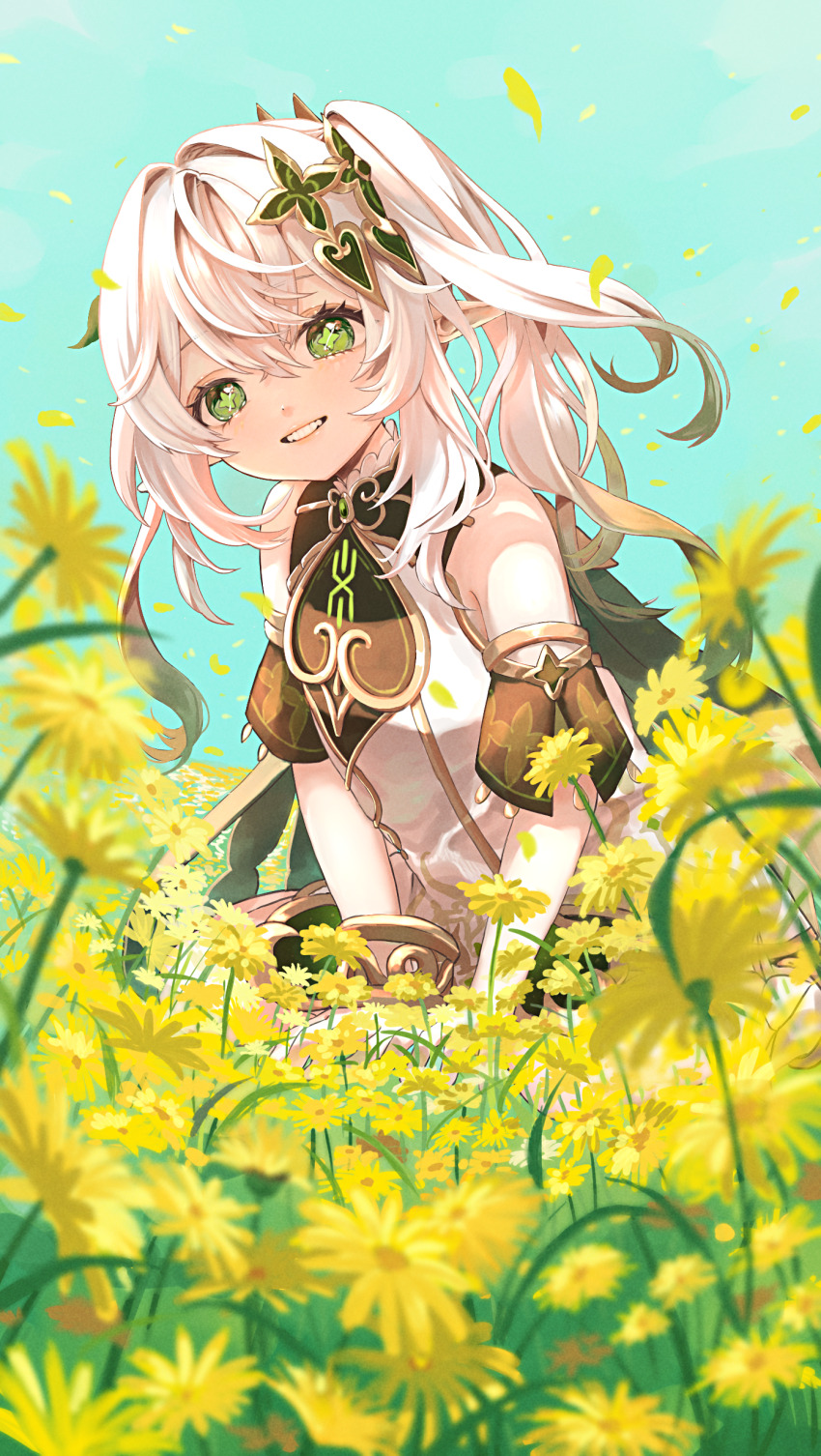 Nahida (Genshin Impact) Rule 34 Image