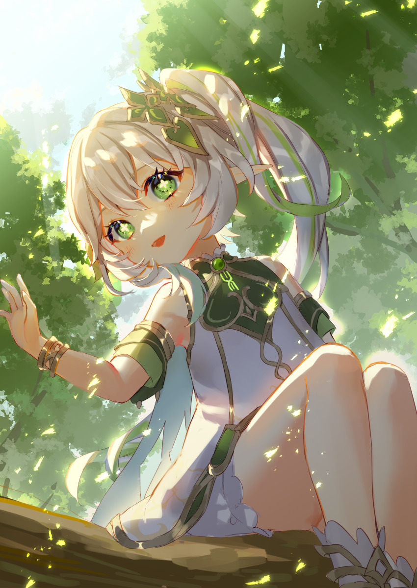 Nahida (Genshin Impact) Rule 34 Image