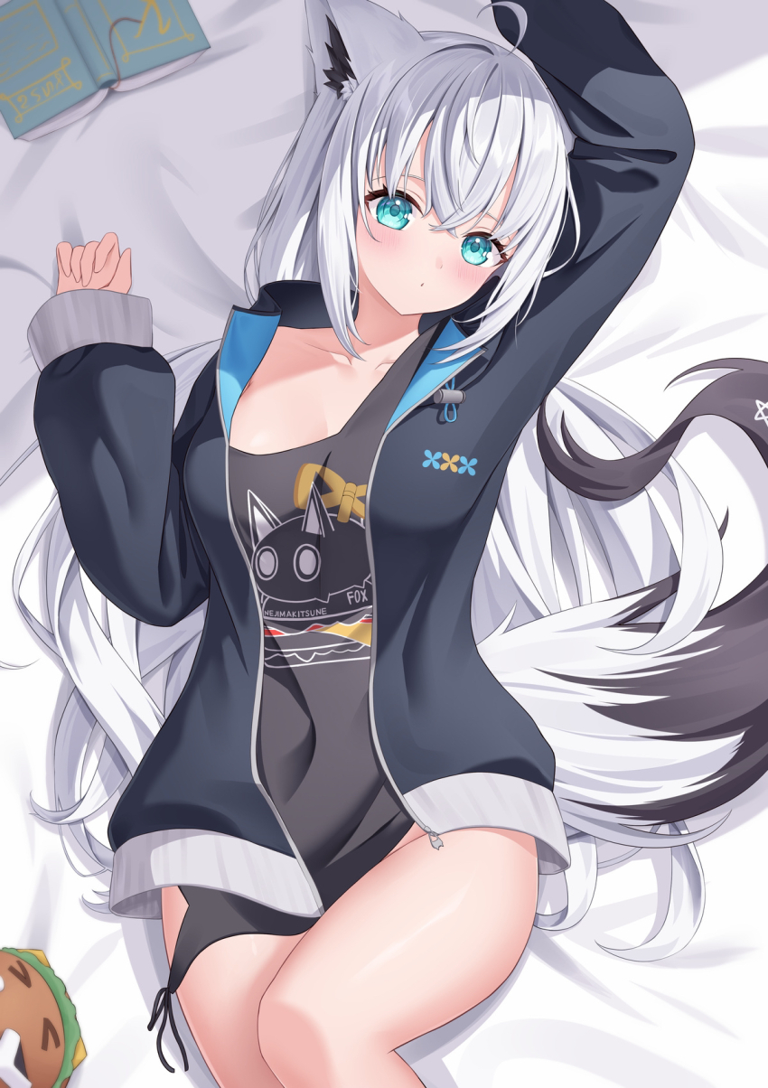 Shirakami Fubuki (Hololive) Rule 34 Image