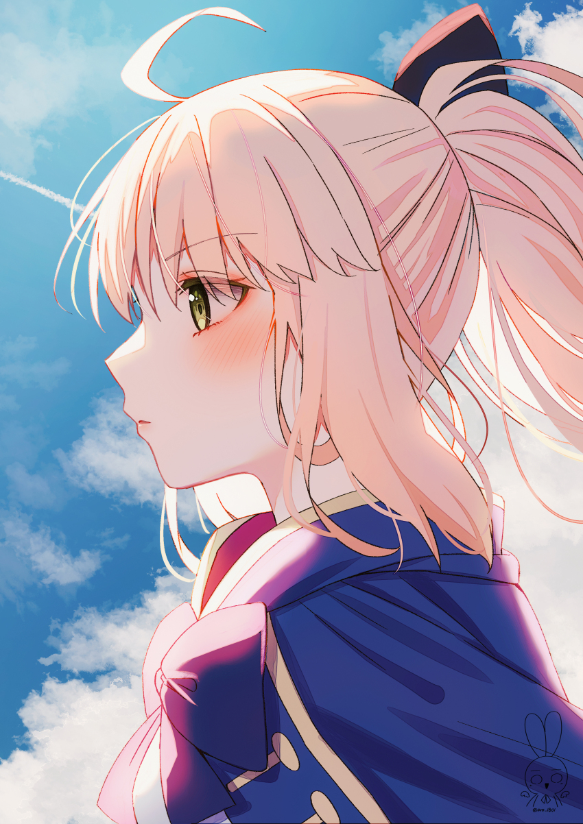 Artoria Caster (Fate) Rule 34 Image