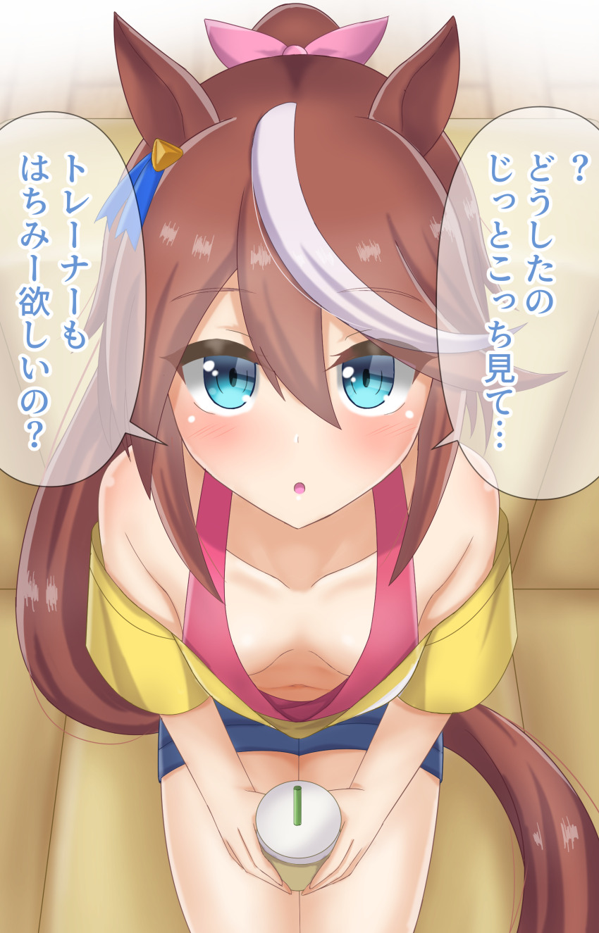 Tokai Teio (Umamusume) Rule 34 Image