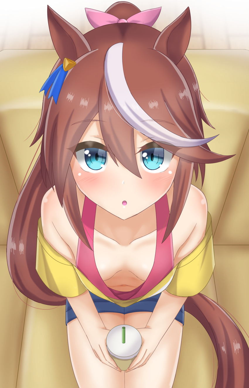 Tokai Teio (Umamusume) Rule 34 Image