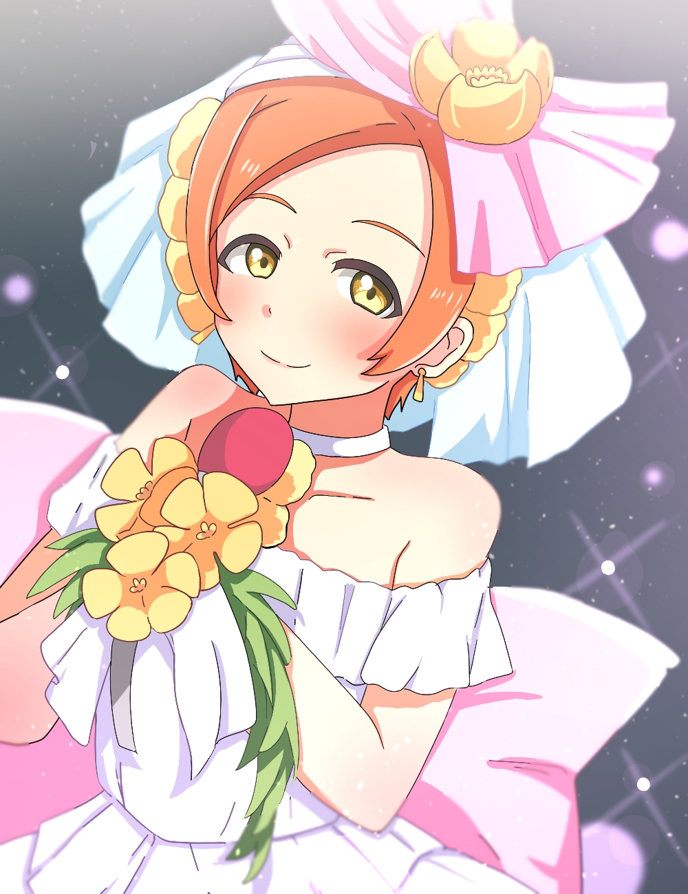 Hoshizora Rin (Love Live!) Rule 34 Image