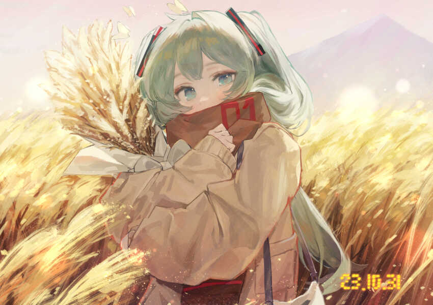 Hatsune Miku (Vocaloid) Rule 34 Image