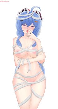 Ganyu (Genshin Impact) Rule 34 Image