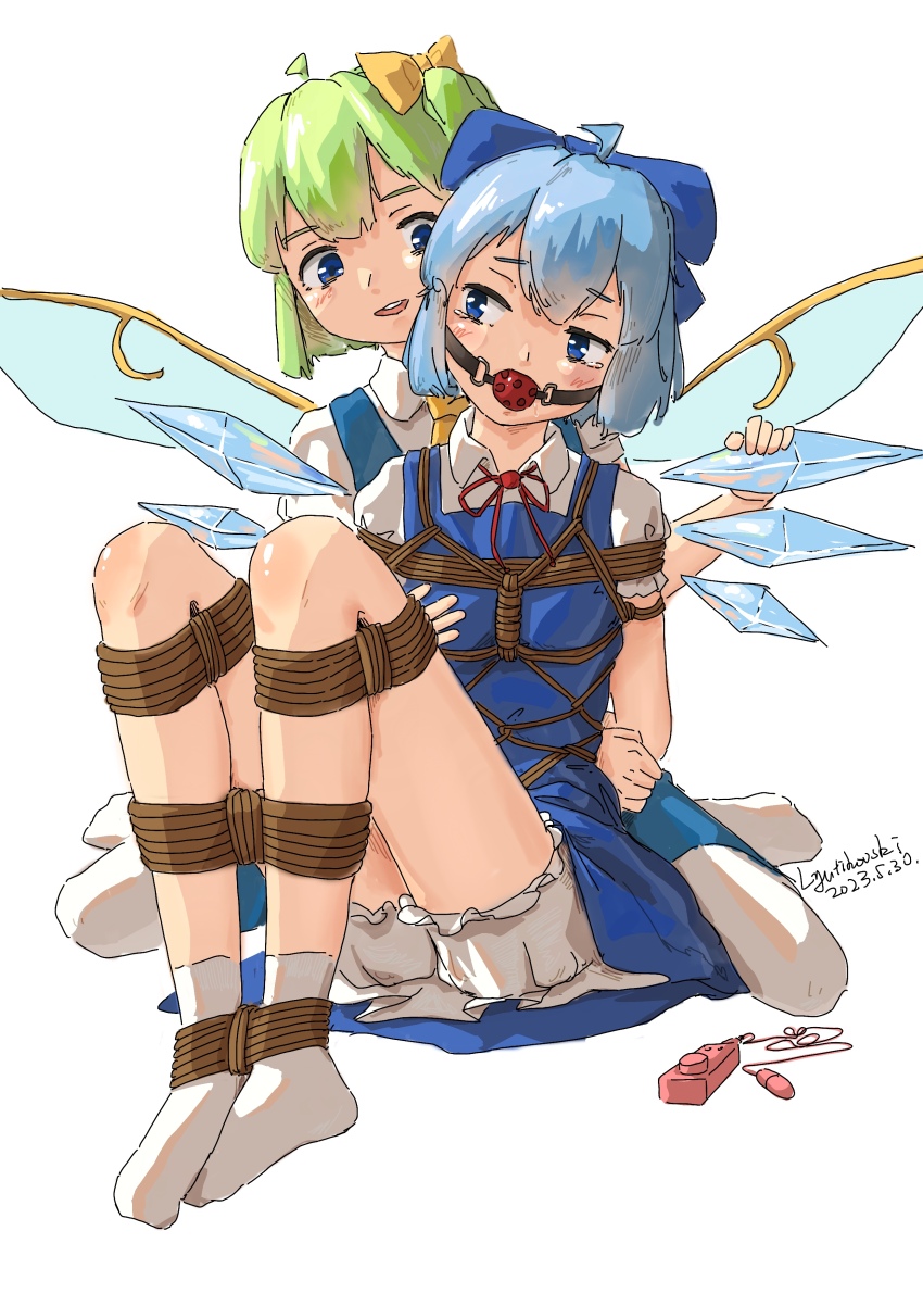 Cirno (Touhou) Rule 34 Image