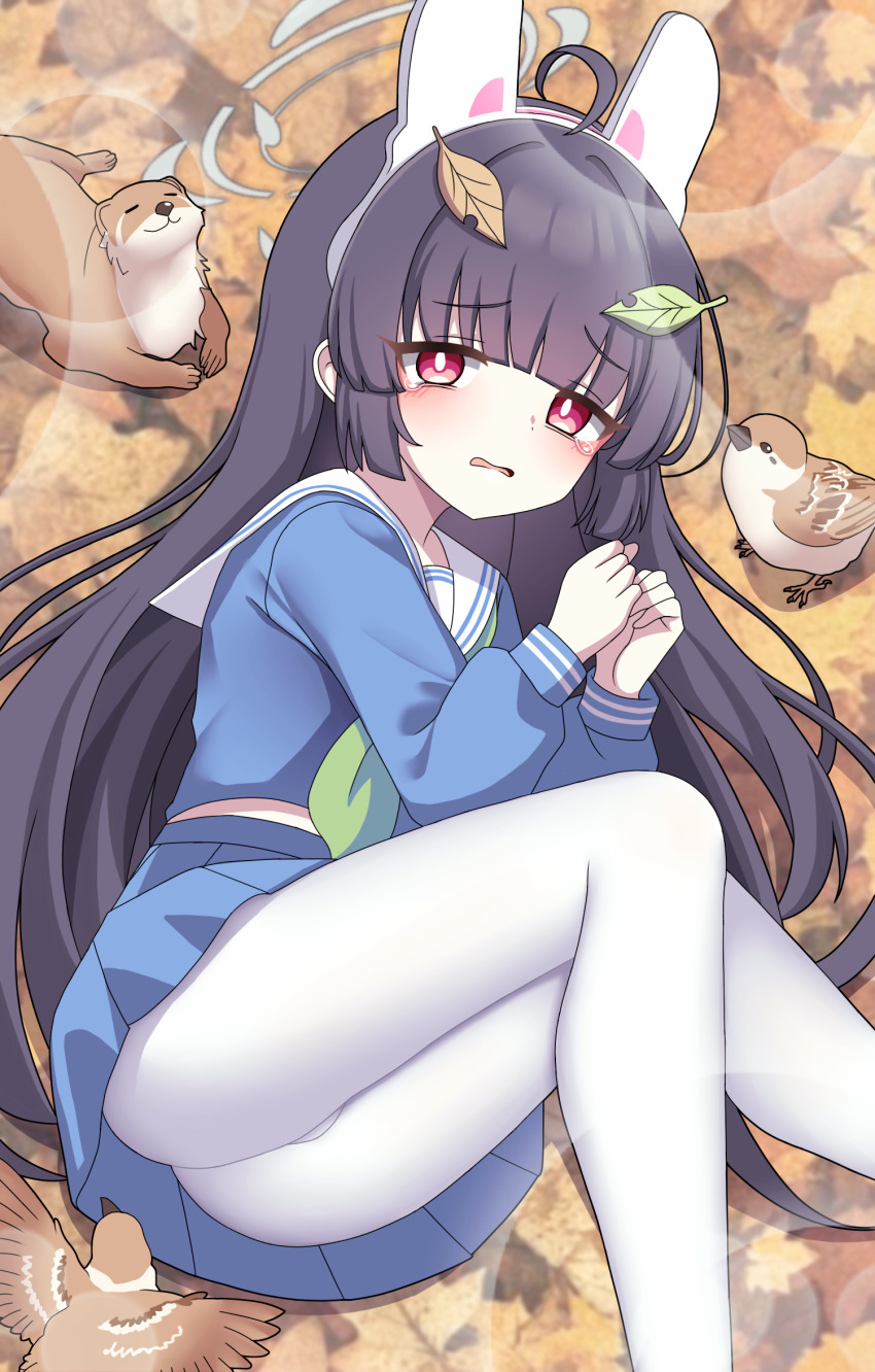 Miyu (Blue Archive) Rule 34 Image