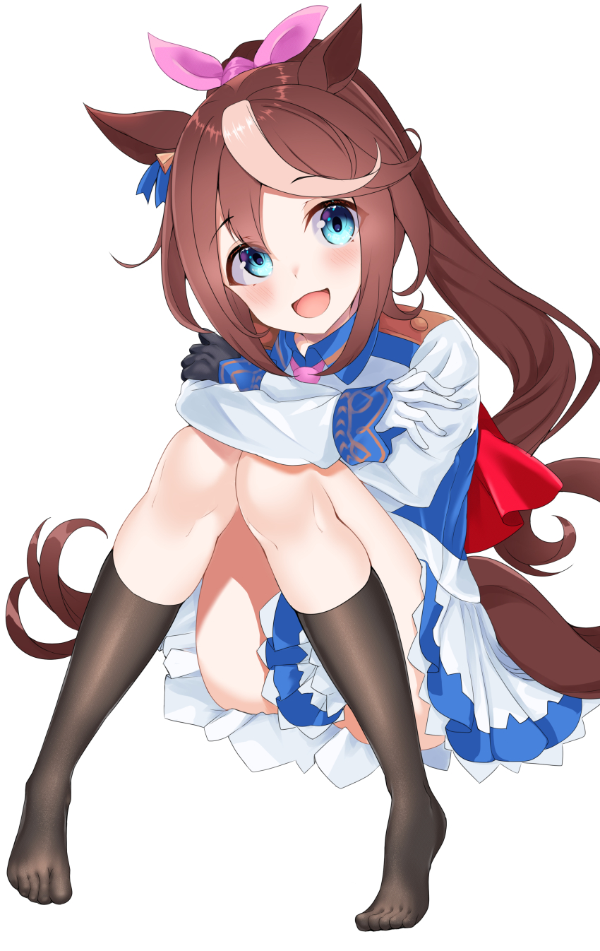 Tokai Teio (Umamusume) Rule 34 Image