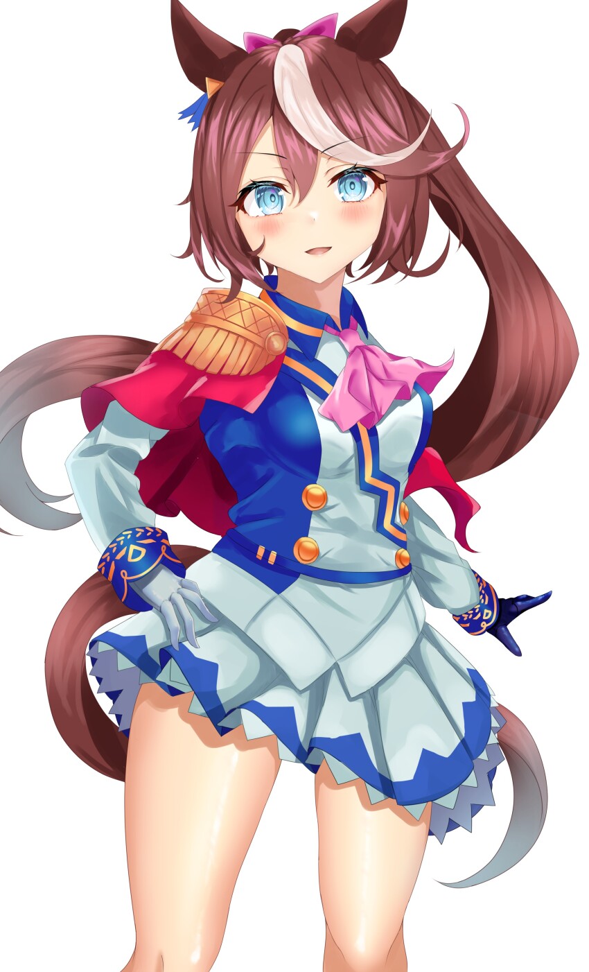 Tokai Teio (Umamusume) Rule 34 Image