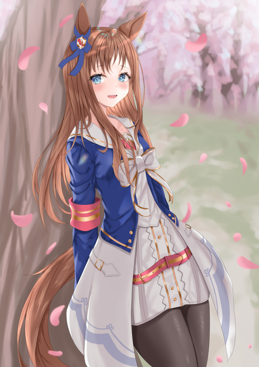 Grass Wonder (Umamusume) Rule 34 Image