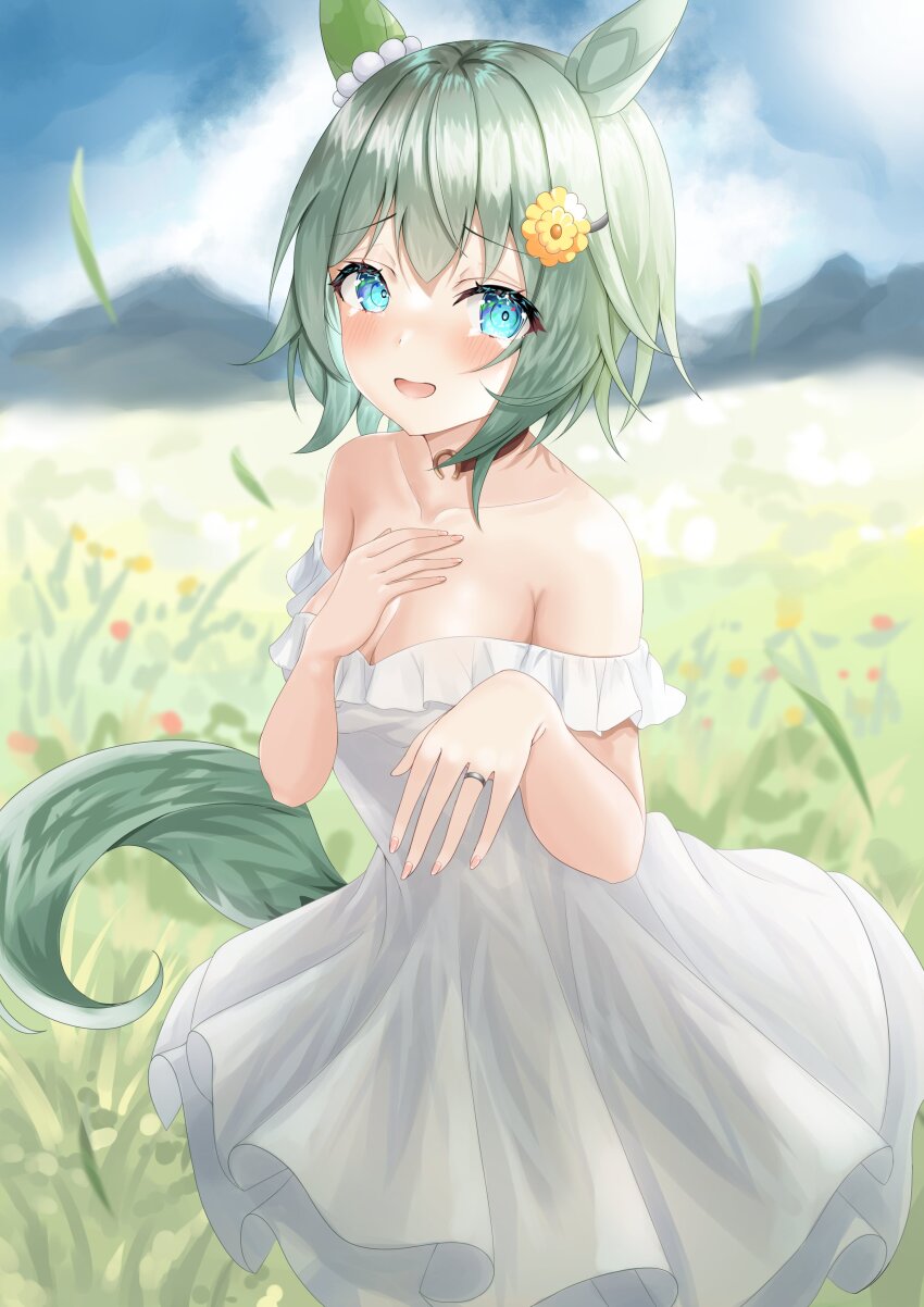Seiun Sky (Umamusume) Rule 34 Image