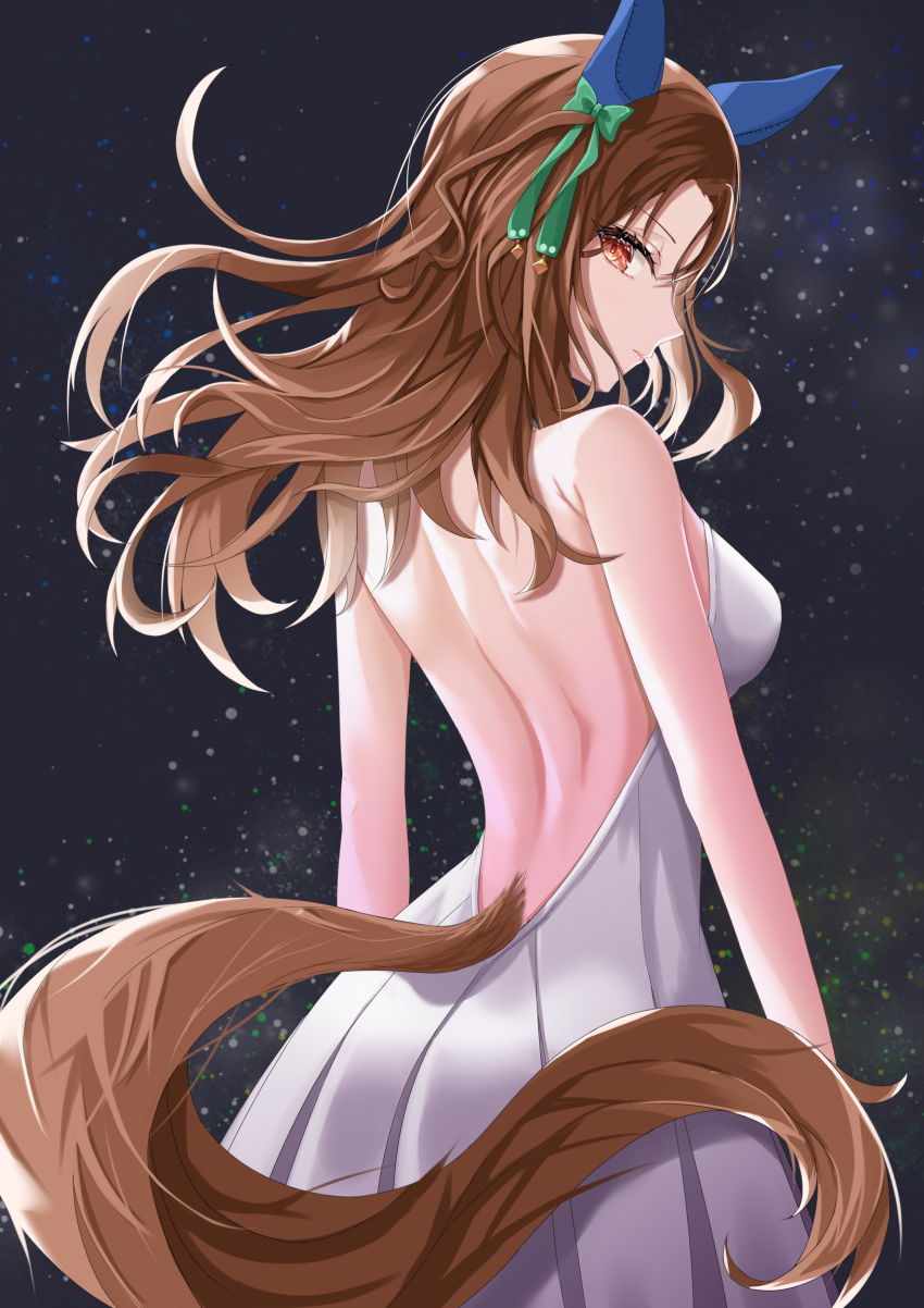 King Halo (Umamusume) Rule 34 Image