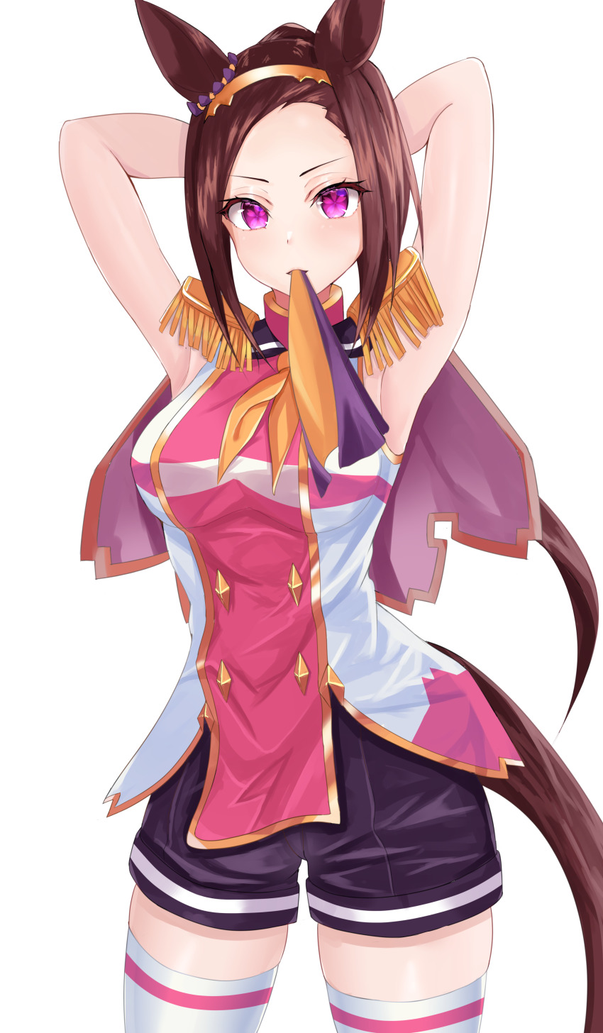 Sakura Bakushin O (Blossom In Learning) (Umamusume) Rule 34 Image