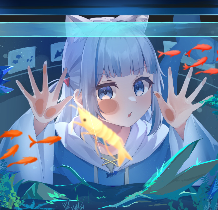 Ebi-Chan (Gawr Gura) Rule 34 Image