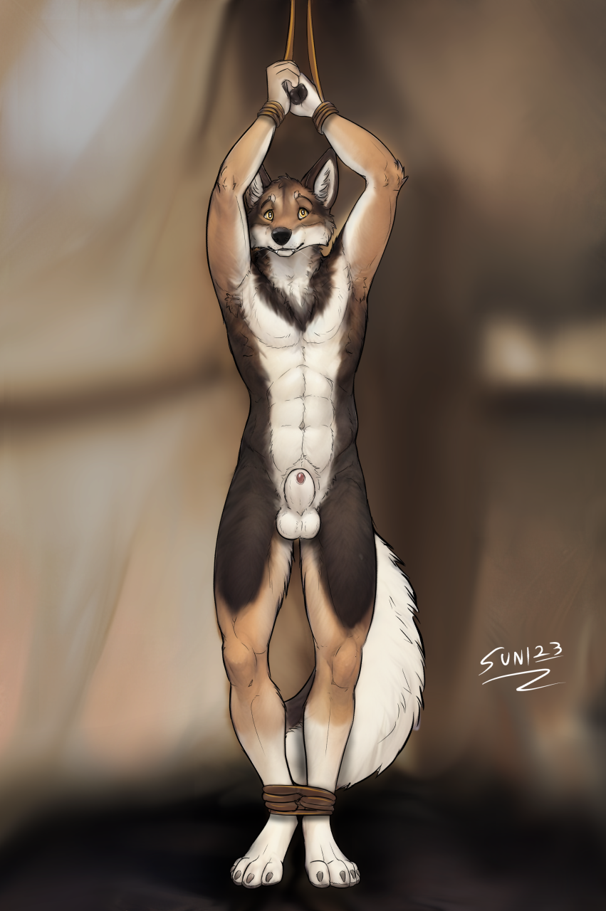 Animal Genitalia Rule 34 Image