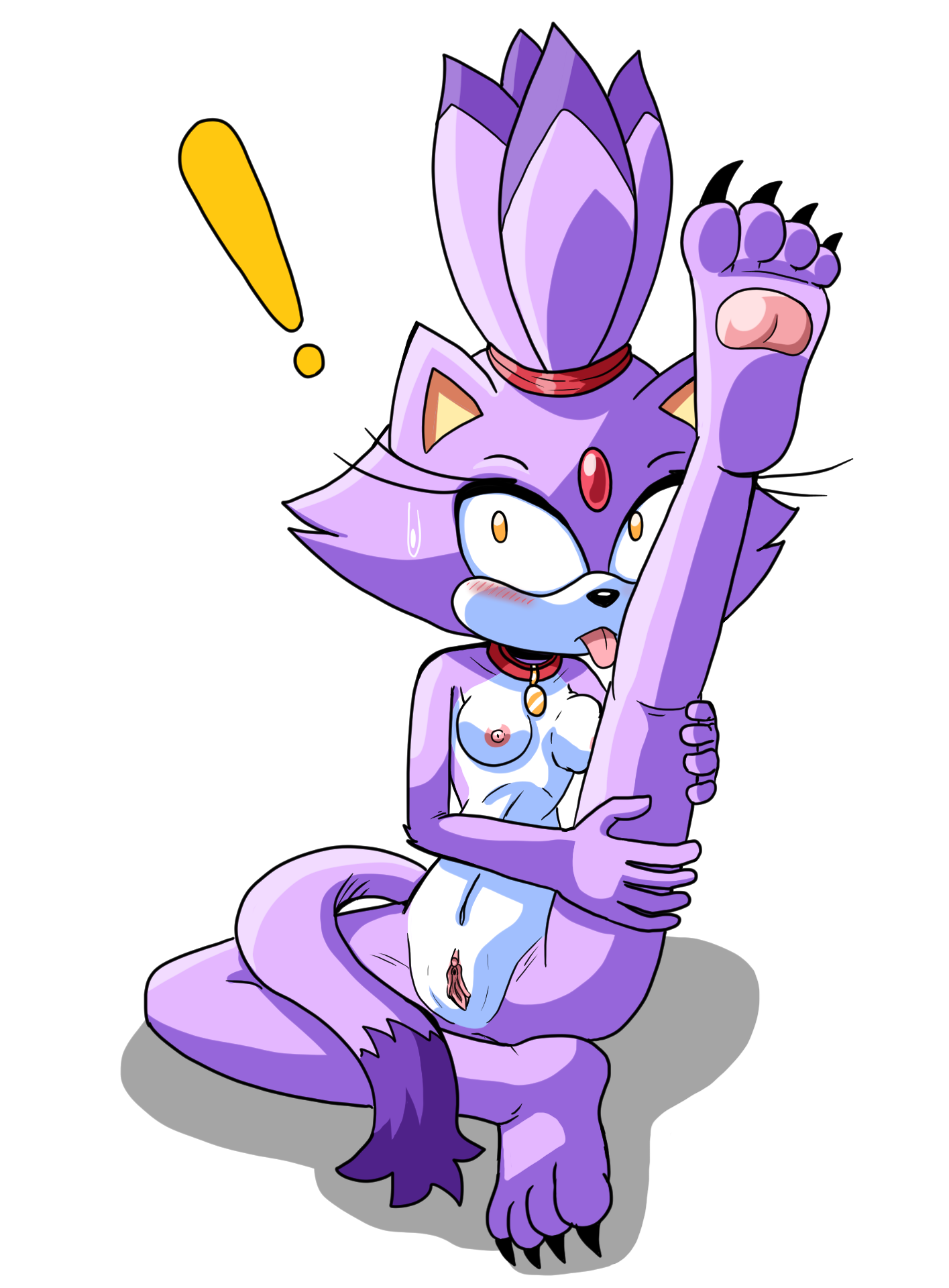 Blaze The Cat (Sega) Rule 34 Image