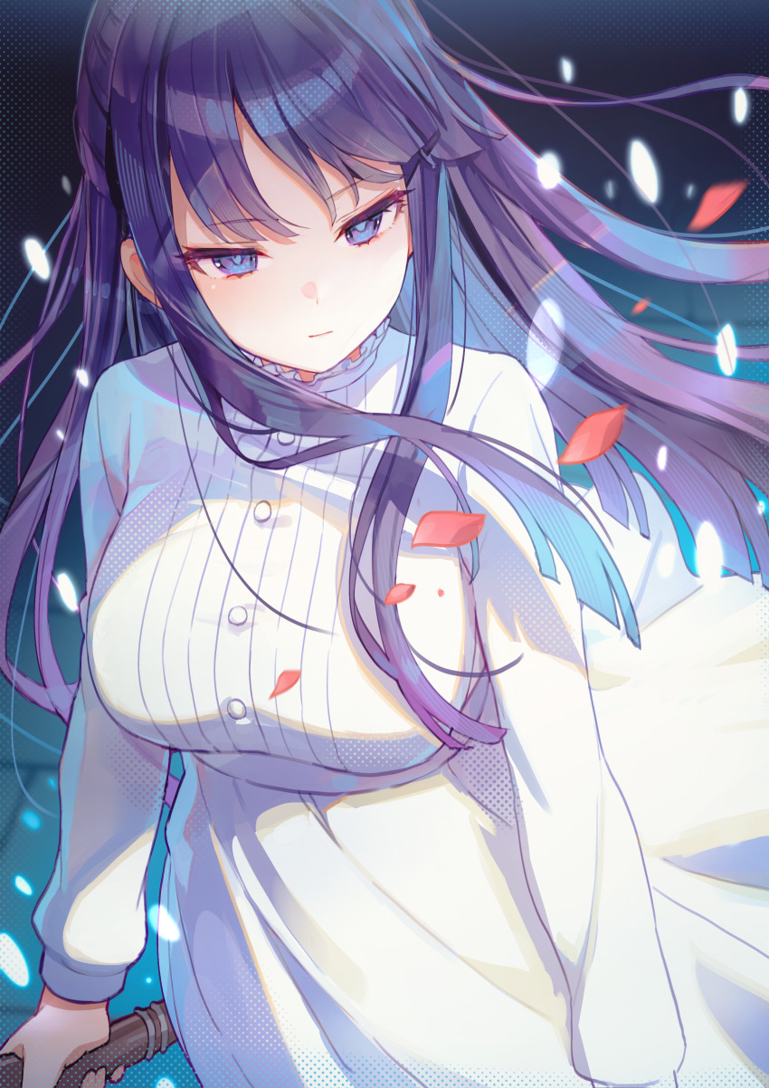 Fern (Sousou No Frieren) Rule 34 Image