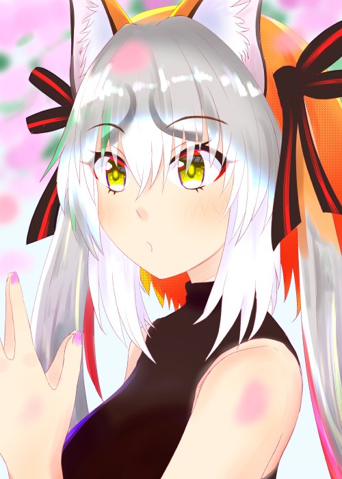 Island Fox (Kemono Friends) Rule 34 Image