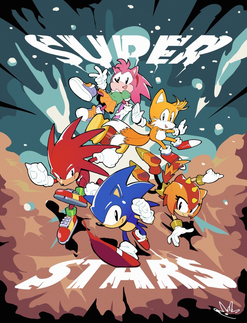 Amy Rose (Sonic (Series)) Rule 34 Image