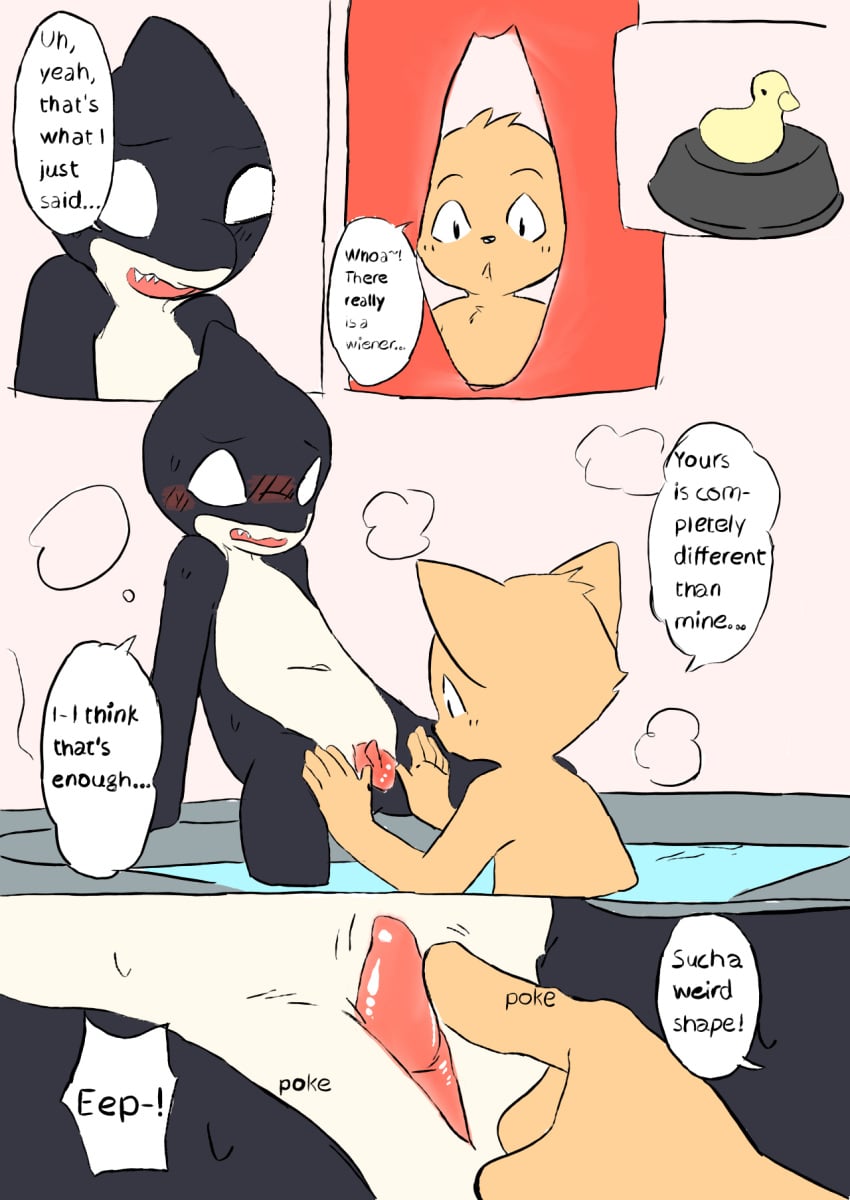 Domestic Cat Rule 34 Image